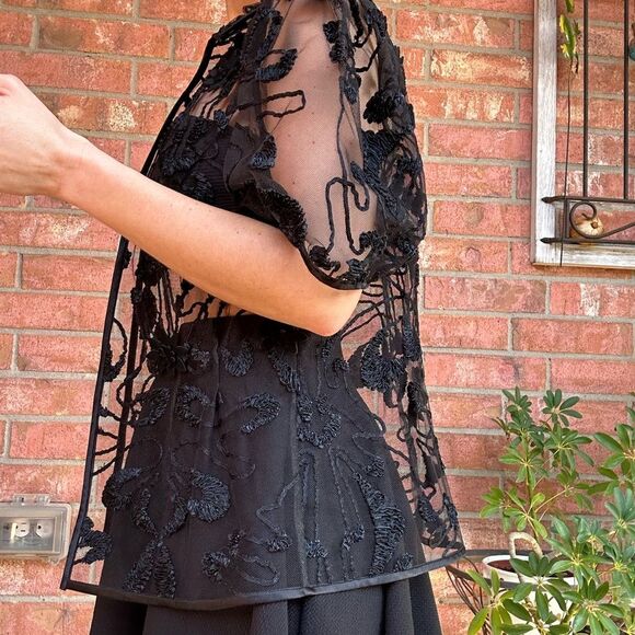 Black Sheer Mesh 3D Floral Embroidered Top Puff Sleeve Whimsigoth Witchy - Picture 5 of 10